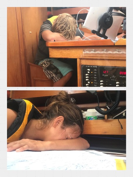 Processed with MOLDIV